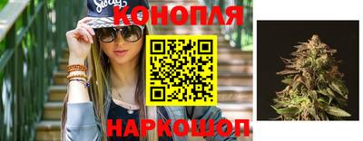jwh Шебекино