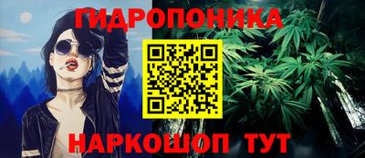 jwh Шебекино