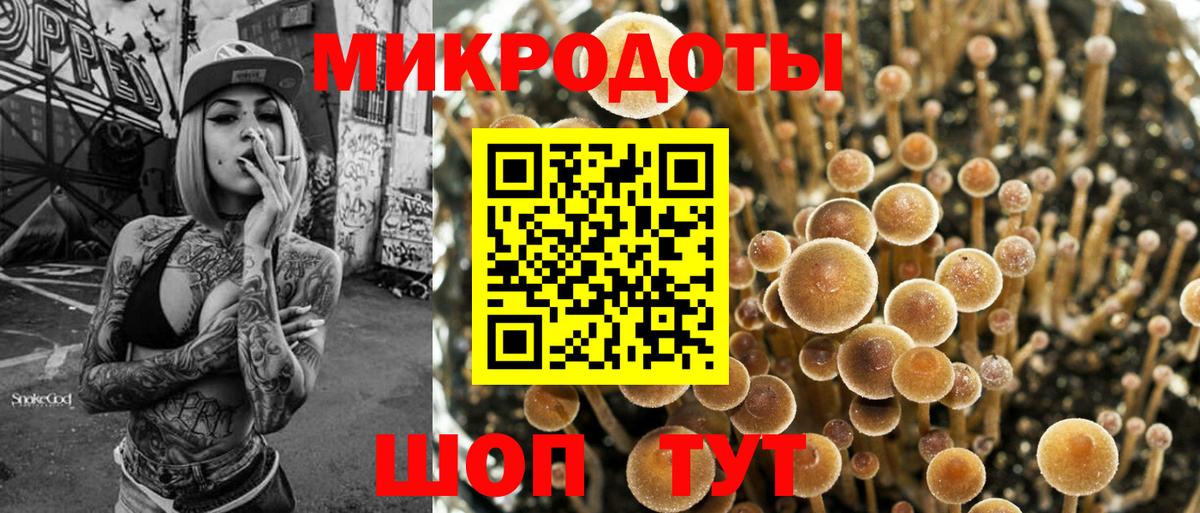 Галлюциногенные грибы GOLDEN TEACHER  где купить наркоту  Борисоглебск  Вход с VPN  Псилоцибиновые грибы Cubensis 